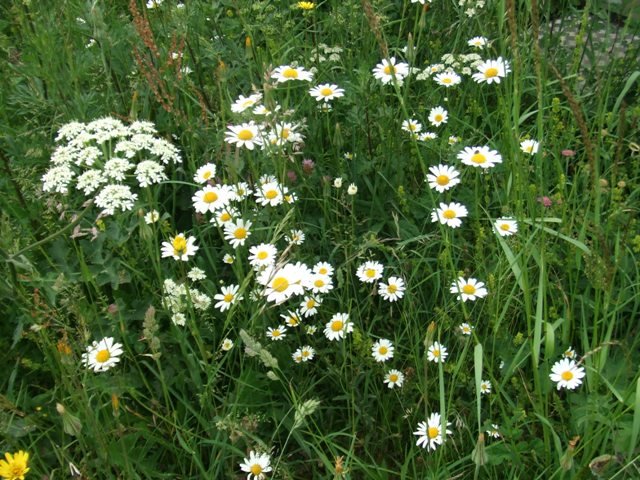 Week-end club 2012, dimanche